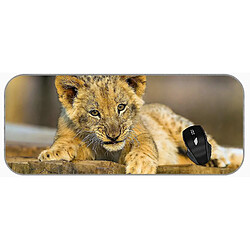 Universal (750x300x3) xxl jeu grand coussin de souris bébé animal grand chat lion lion lion pads en caoutchouc non glissant