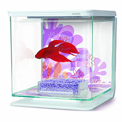 Aquarium Marina Betta Kit 2L Flower 