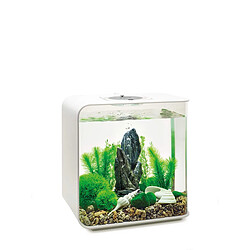 Décoration aquarium