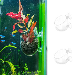 Plante aquatique coupe pot aquarium aquarium aquascaping 6x8cm