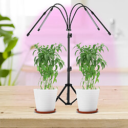 Lampe pour Les Plantes Les Plantes Poussent des Lumières, Lampes de Culture à Spectre Complet 4 têtes / 20 W pas cher