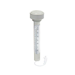 Bestway Accessoire piscine - Thermomètre de piscine flottant