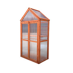 Serre de Jardin Gardiun Wooden I 90x41x32 cm en Bois et Polycarbonate