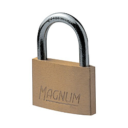 Verrou, cadenas & targette Master Lock