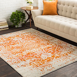 Surya LENA - Tapis vintage, Orange, Beige et Gris - 160x220cm