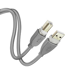 Câble USB-A 2.0 vers USB-B 2.0 Transfert Rapide Connexion Stable 1,8m LinQ Gris
