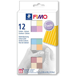 Graines Creatives Coffret Fimo Soft couleurs pastels 