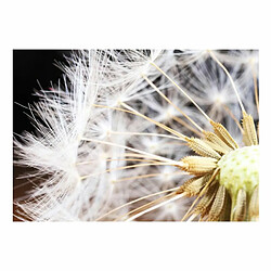 Paris Prix Papier Peint Fluffy Dandelion 105 x 150 cm