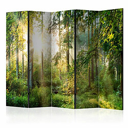 Paris Prix Paravent 5 Volets Untamed Nature 172x225cm