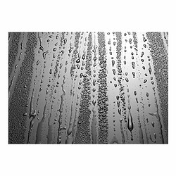 Paris Prix Papier Peint Summer Drizzle 105 x 150 cm