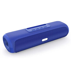 Acheter Yonis Enceinte Bluetooth Puissante 10W TWS Support Téléphone