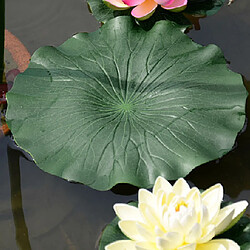 4x Plante Feuilles de Lotus Artificielle en Plastique Vert Décor Aquarium 17cm + 29cm pas cher