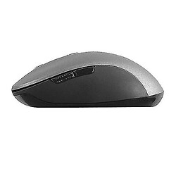 Acheter Universal Souris sans fil 1ifemwblaze 1600 dpi gris