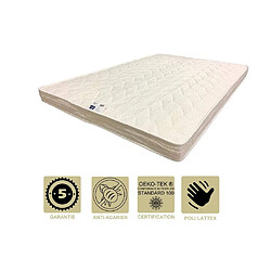 Literie Julien Matelas Soutien Très Ferme Mémoire de Forme Pour Canapé Lit + Alèse 140x200 x 9 cm + Oreiller Visco - 5 zones de Confort - Ame Poli Lattex Haute Résilience - Hypoallergénique 