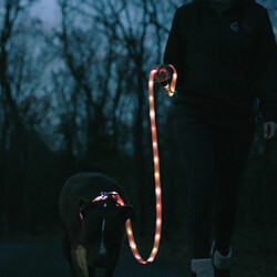 Avis Laisse et Collier lumineux pour chien - VENTEO - LED Rechargeable USB - Longue autonomie - Résistant à l'eau - 3 modes d'éclairage - Réglable pour Petits/Moyens/Gros Chiens - Orange