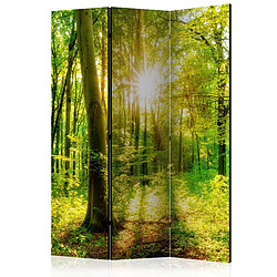 Decoshop26 Paravent 3 volets panneaux cloison séparateur de pièce pliable recto verso Rayons de la forêt 135x172 cm PAR110363