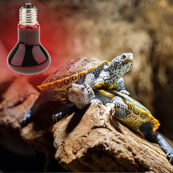 Reptile Tortoise Amphibie Nightlight Lumière infrarouge UVA E27 Lampe chauffante 40W