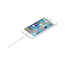 Apple Câble Lightning vers USB-A 2.0 Charge et Synchronisation 1m Blanc