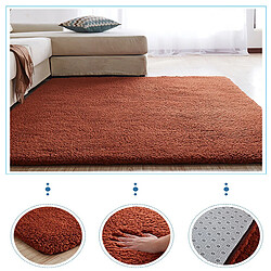 LUUCOZK Tapis moelleux en fausse fourrure Tapis à poils longs pour chambre à coucher Salon-Café-180x250cm