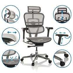 Avis Chaise de bureau / Fauteuil de direction ERGOHUMAN GEN2 Tissu maille gris clair hjh OFFICE