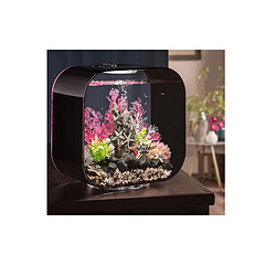 Aquarium 30l contours noir - Life 30MCR black - OASE