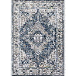 Surya DALILA - Tapis vintage, Gris et Bleu - 160x220cm