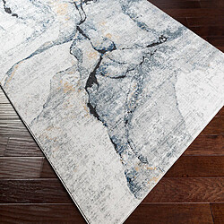 Acheter Surya LYNA - Tapis abstrait, Gris, Bleu et Noir - 200x274cm