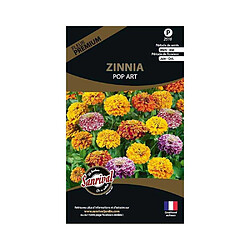 Sanrival Graines de fleurs premium Zinnia pop art