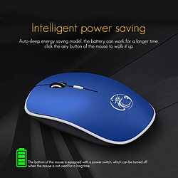 Avis Wewoo Souris sans fil 2.4Ghz 1600 DPI USB muette ergonomique et silencieuse (noir)