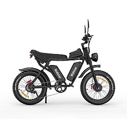 Avis Vélo Électrique Ridstar Q20 - Dual Moteurs 750W*2 Dual Batteries 48V20Ah*2 Pneus 20" Freins à Disque Hydrauliques - Noir