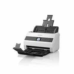 Scanner Epson B11B250401