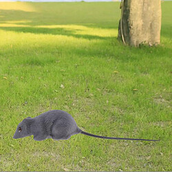 Réaliste Souris Animaux Ornement Jardin Décor Enfants Jouet Éducatif Gris