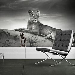 Paris Prix Papier Peint Une Lionne en Noir & Blanc 270 x 350 cm 