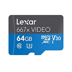 Scheda di memoria Lexar Professional 667x