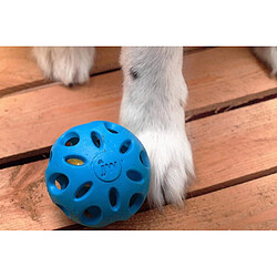 Acheter JW Jouet Crackle Ball Medium De, Balle en Caoutchouc avec Un C?ur en Bouteille Plastique pour Les Chiens pour Chien Taille M