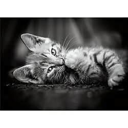 Ludendo Puzzle High quality 1000 pièces chaton