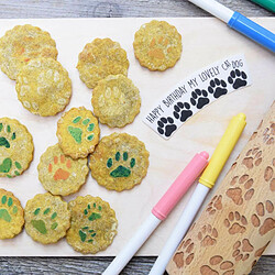 Scrapcooking 4 feutres alimentaires biscuits pour animaux