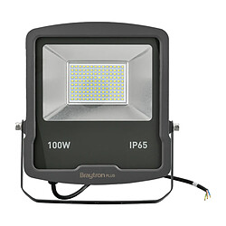 BRAYTRON Projecteur LED SL 100W IP65 4000K Gris