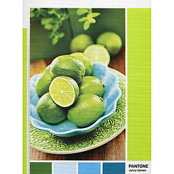 Clementoni- Pantone Collection-Lime Punch-1000 pièces, 39492, Multicolore