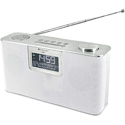 Soundmaster Radio portable Bluetooth, USB DAB+/UKW et fente micro sd gris blanc 