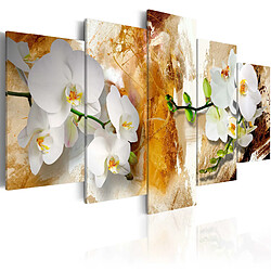 Decoshop26 Tableau toile de décoration murale impression premium en 5 parties sur châssis en bois motif Peinture marron et orchidée 100x50 cm 11_0016375