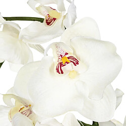 Atmosphera, Createur D'Interieur Composition orchidée en vase H46 Blanc - Atmosphera