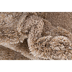 Acheter Hadorn Tapis shaggy 185x125 brun Thun Scutum