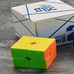 Acheter Universal 2x2 Magnetic Magic Cube Speed Magic Puzzle Brain Trailer Jouets éducatifs pour les enfants New Cube