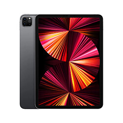 Apple iPad Pro 11" (2021) Wi-Fi + Cellular 2To - Gris Sidéral