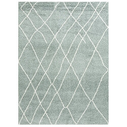 Hadorn Tapis shaggy 305x240 vert Lachen Fence 