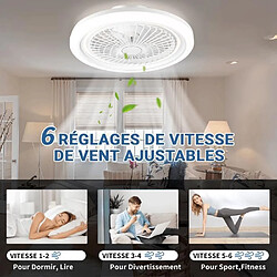 Avis FIMEI Ventilateur de plafond NACATIN Fan Silencieux 6 Vitesses Eclairage Dimmable 3 Couleurs 49cm WF60506