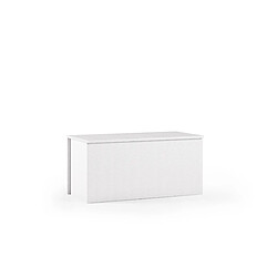 Alter Malle polyvalente, 100% Made in Italy, Grande boÃ®te de rangement, Coffre moderne, 90x45h45 cm, Couleur Blanc