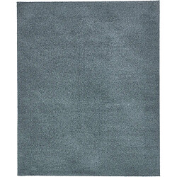 Hadorn Tapis shaggy 305x213 Bleu Luzern 