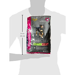 Eukanuba Croquette au Saumon pour Chien Adulte 2,5 kg